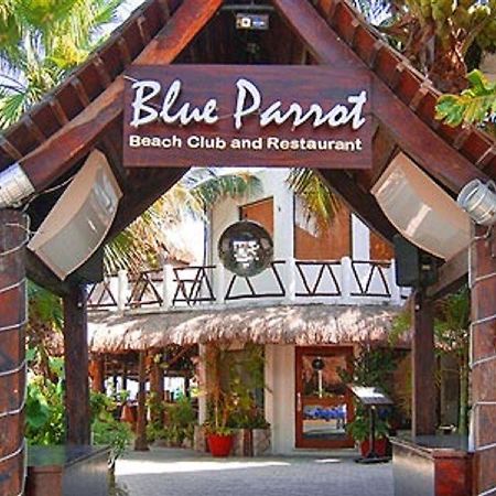Blue Parrot Suites Playa del Carmen Exteriér fotografie