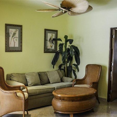 Blue Parrot Suites Playa del Carmen Exteriér fotografie