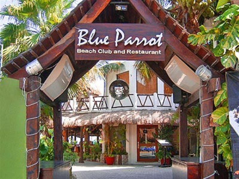 Blue Parrot Suites Playa del Carmen Exteriér fotografie